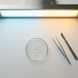 Bi-colour LED panel casting warm amber and cool daylight tones over a macro photography setup with a glass specimen dish and precision instruments.