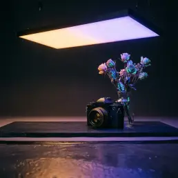 Bi-colour LED panel casting warm amber to cool violet gradient over a film camera and UV-reactive flowers in a dark studio.